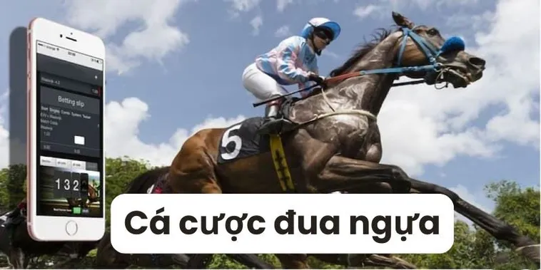 Tìm Hiểu Đua Ngựa ABC8: Sân Chơi Cá Cược Hấp Dẫn 2 Tìm Hiểu Đua Ngựa ABC8: Sân Chơi Cá Cược Hấp Dẫn